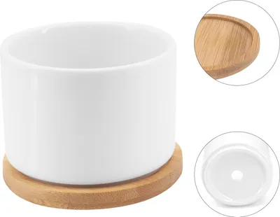 Zdjęcie produktu dla Zestaw sukulentów - minimalistyczny design - 4 sztuki - biała ceramika - 7,5 cm