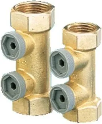 Image de Clapet anti-retour à filetage interne Type EA291NF 6/4 pouce