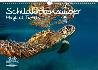 Produktbild von Schildkrötenzauber DIN A3 Immerwährender Kalender Schildkröten - Seelenzauber