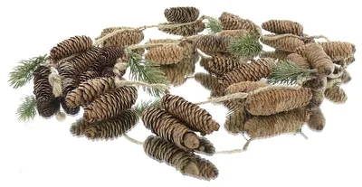Produktbild von GASPER Weihnachtsgirlande Zapfen mit Tannengrün 165 cm - Kunstpflanzen