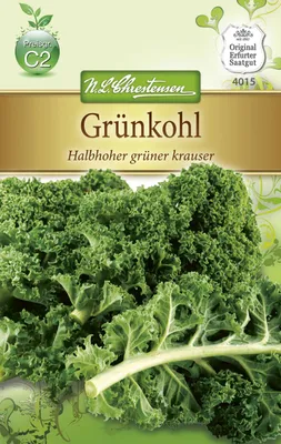 Produktbild von Grünkohl Halbhoher grüner Krauser | Grünkohlsamen von N.L. Chrestensen