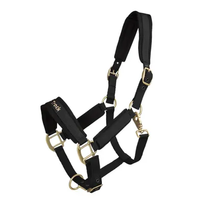 Image de Back on Track Licol Werano Noir Cob
