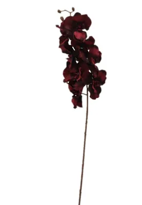 Produktbild von 2474U Kunststielblume Orchidee, Künstliche Blume Bordeaux-Rot, 100 cm