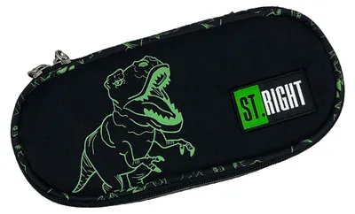 Produktbild von Feder-Mäppchen Kinder für Jungen ST.RIGHT Etui T-Rex Federmappe