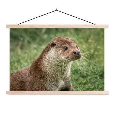 Produktbild von MuchoWow® Textilposter Otter im Gras 120x80 cm mit holzfarbenen Rahmen - Aufhängeset