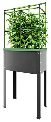 Produktbild von BioGreen Hochbeet "Heidelberg" aus Metall auf Stelzen mit Rankgitter - 43 L Kübelvolumen - 9 L Wasserspeicher