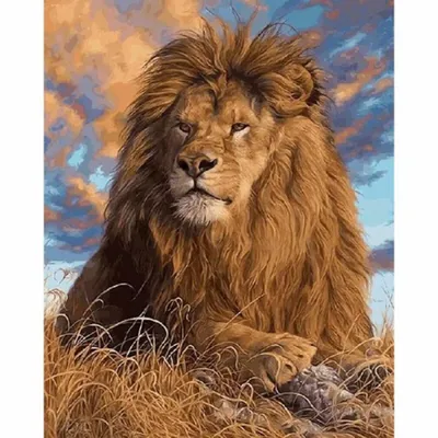 Produktbild von Diamond Painting Löwe 40x30 cm