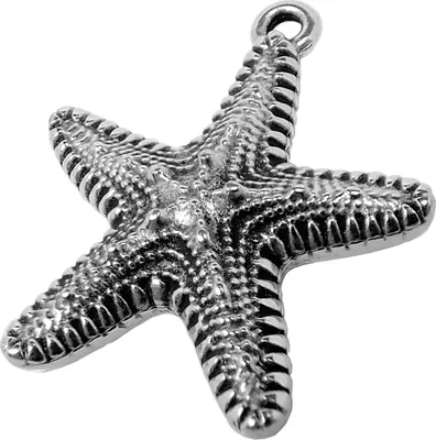 Produktbild von Minott Schmuck Anhänger | Seestern Messing, versilbert 30660