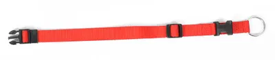 Productafbeelding van Duvo+ Nylon halsband verstelbaar Rood 22/35 cm - 10 mm