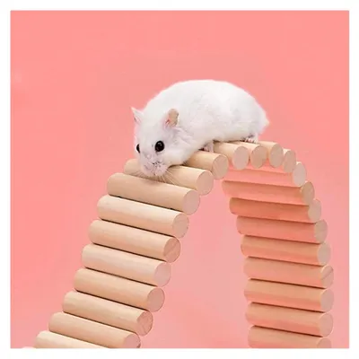 Produktbild von Haustierversteck, Holzleiter Brücke für Meerschweinchen, Kaninchen, Tunnel für Nagetiere, Kauspielzeug für Hasen, Chinchillas, Igel, Frettchen, Ratten