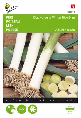 Produktbild von Porree Blaugrüner Winter Hiverbleu | Lauchsamen von Buzzy Seeds