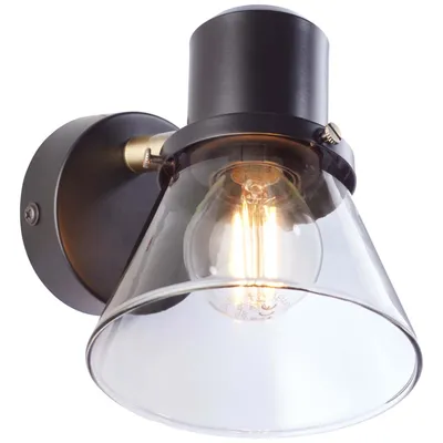 Produktbild von Brilliant Wandlampe Wandleuchte Rauchglas schwarz Leuchte Lampe 79310/93