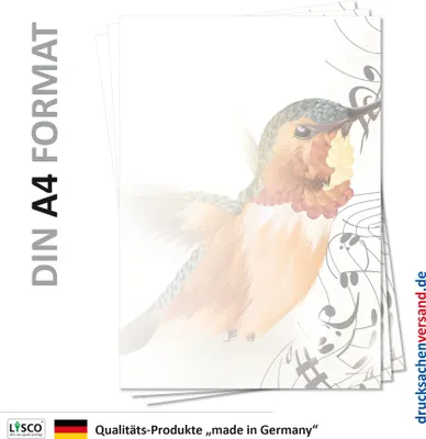 Produktbild von Motiv Briefpapier (Vogel-5104, DIN A4, 100 Blatt)  Eisvogel im Flug Musik Noten Vögel Motivpapier