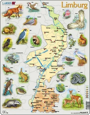 Image de Puzzle cadre Larsen - Limbourg - 60 pièces
