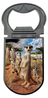 Produktbild von LiveLife Flaschenöffner mit 3D-Lentikulardesign und Kühlschrankmagnet aus Metall