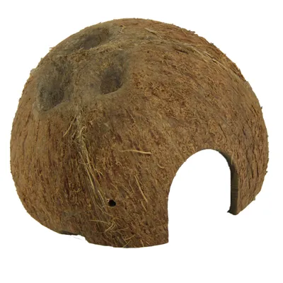 Produktbild von JBL Cocos Cava, Größe: L (1/2)