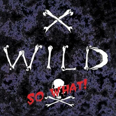 Obrázek produktu pro X-Wild - So What!, CD