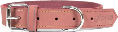 Obrázok produktu pre Obojok pre psov gloria oasis pink (60 x 3 cm)