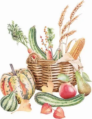Produktbild von 20 Servietten Autumn Still Life - Korb voller Herbsternte 33x33cm