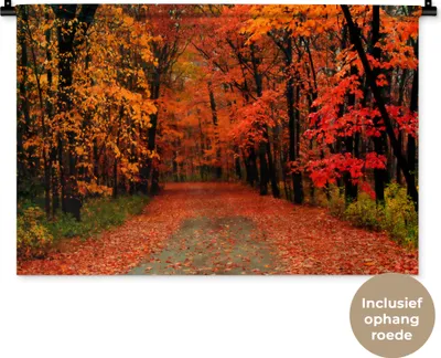 Produktbild von MuchoWow® Wandteppich Wandbehang Herbst - Wald - Laub 90x60 cm Tapisserie Dekoration Wandtuch - Wandskulpturen - Bildteppich