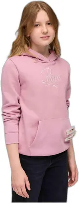 Productafbeelding van Hoodie Puma 688728-65 voor Meisjes