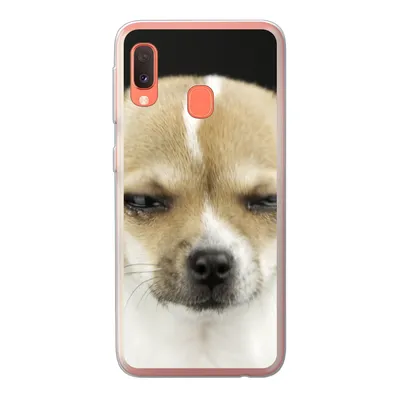 Produktbild von MuchoWow® Handyhülle Schutzhülle Hülle für Samsung Galaxy A20e Weinender Hund auf schwarzem Hintergrund Silikon Softcase Handy Hülle