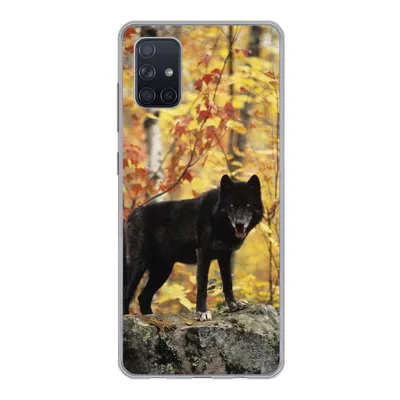 Produktbild von MuchoWow® Handyhülle Schutzhülle Hülle für Samsung Galaxy A71 Wolf - Fels - Baum Silikon Softcase Handy Hülle - Kartenbesitzer