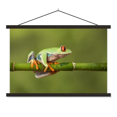 Produktbild von MuchoWow® Textilposter Rotäugiger Quecksilberfrosch auf Bambus 150x100 cm mit schwarzem Rahmen - Schlafzimmer