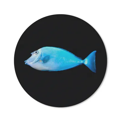 Produktbild von MuchoWow® Mauspad Mousepad Fische - Meerestiere - Schwarz 30x30 cm - Mousepads - Maus Mat - Pad - Mausunterlage