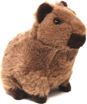 Image de Cornelissen - Doudou - Capybara - 12 cm