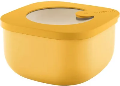 Immagine prodotto di Guzzini Eco Store&More Flache Behaelter 975Cc, 170720236