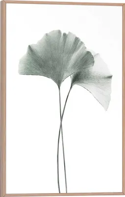 Produktbild von Wandbild - Braun - Weiß - Grün - 20 x 30 cm - Gingko