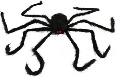 Obrázek produktu pro Pavouk velký plyš 125x8cm karneval