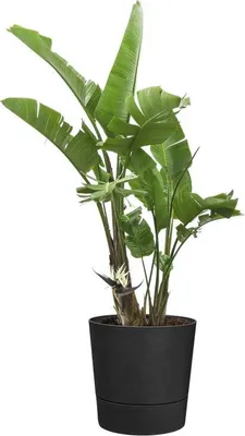 Image de Produits de jardin
