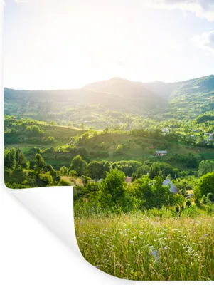 Produktbild von MuchoWow® Wandtattoo Wandsticker Wandaufkleber Wald - Landschaft - Sonne - Natur - Sonnenaufgang 30x40 cm Selbstklebend und Repositionierbar - Sticker - Dekorfolie