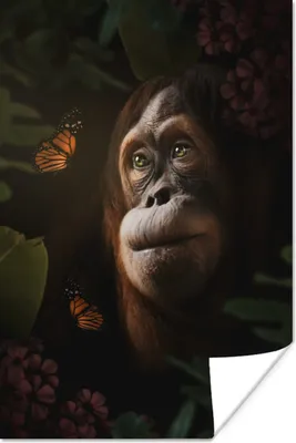 Produktbild von MuchoWow® Poster Schmetterling - Dschungel - Affe 60x90 cm - Wanddekoration
