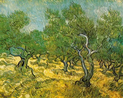 Produktbild von Vincent Van Gogh Kunstdruck Bild - Olivenhain, 1889 (40 x 50 cm)