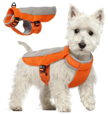Hunde-Kühlweste, atmungsaktiv, reflektierend, Orange, S