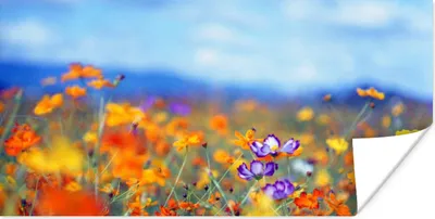 Produktbild von MuchoWow® Poster Kosmos - Farben - Frühling 120x60 cm - Bild