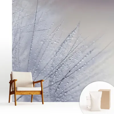 Zdjęcie produktu dla Fototapeta samoprzylepna – 250 x 250 cm – tapeta – tapeta ścienna – obrazy ścienne – folia samoprzylepna – folia dekoracyjna – tapeta foliowa – ściana – dekoracja – salon – mlecze