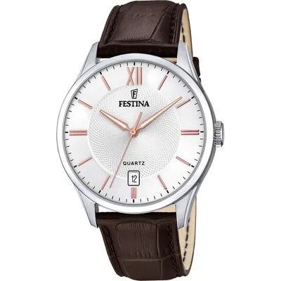 Obrázek produktu pro Pánské hodinky Festina F20426-4 hnědé