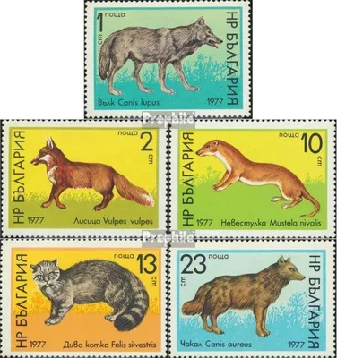 Produktbild von Briefmarken Bulgarien 1977 Mi 2597-2601 (kompl.Ausg.) postfrisch Wildtiere