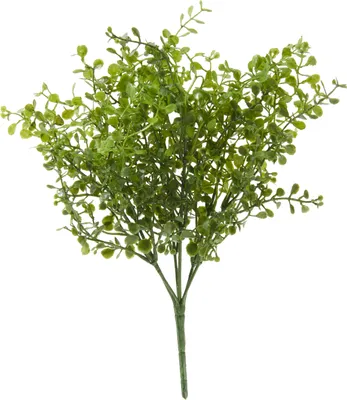 Produktbild von Kunstpflanze Buchsbaumzweig aus Kunststoff, grün, 28 cm, natürliches Aussehen