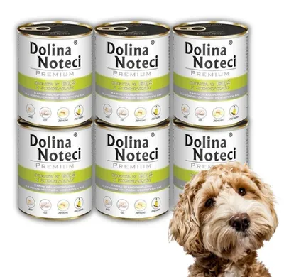Produktbild von Dolina Noteci Premium Nassfutter für Hunde Gans mit Kartoffeln 6x400g