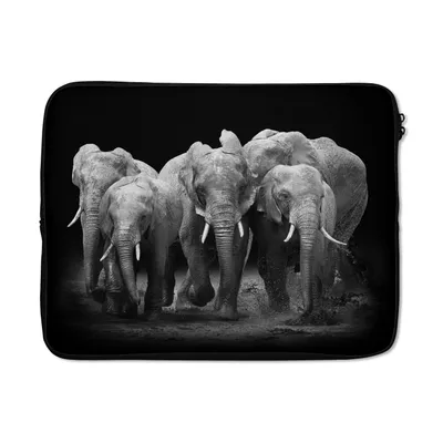 Produktbild von MuchoWow® Laptop Hülle 17 Zoll Laptoptasche Elefant - Schwarz - Weiß - Tiere - Zipper - Schutzabdeckung