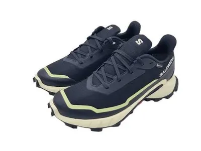 Produktbild von Salomon ALPHACROSS 5 GTX W – Artikel 474606 – Grösse 36