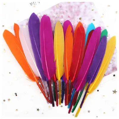 50 Bastelfedern aus Gänsefedern, 10-15 cm, bunt, Mix 2