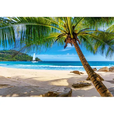 Produktbild von CASTORLAND Puzzle Urlaub auf den Seychellen 500 Teile