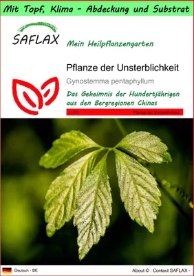 Produktbild von SAFLAX Garden to go - Pflanze der Unsterblichkeit - Gynostemma pentaphyllum - 30 Samen - Mit Topf, Klima - Deckel und Anzuchtsubstrat
