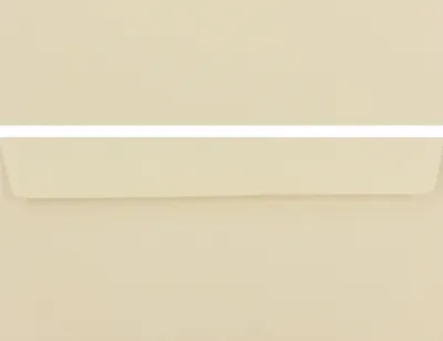 Produktbild von 50 Stück farbige Premium Briefumschläge Briefhüllen Kuvert, Caribic Creme Beige, DIN Lang (110 X 220mm), ohne Fenster, haftklebend, 90g/m²